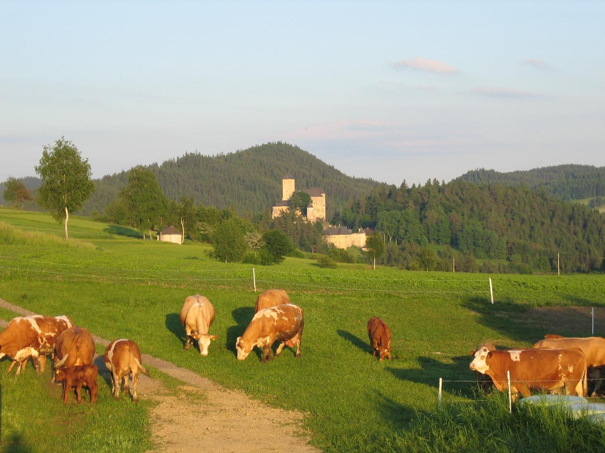 Ferienhof Stanzl Rappottenstein Bagian luar foto