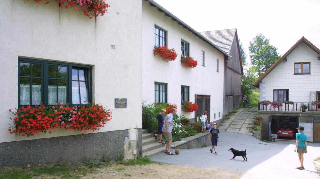 Ferienhof Stanzl Rappottenstein Bagian luar foto