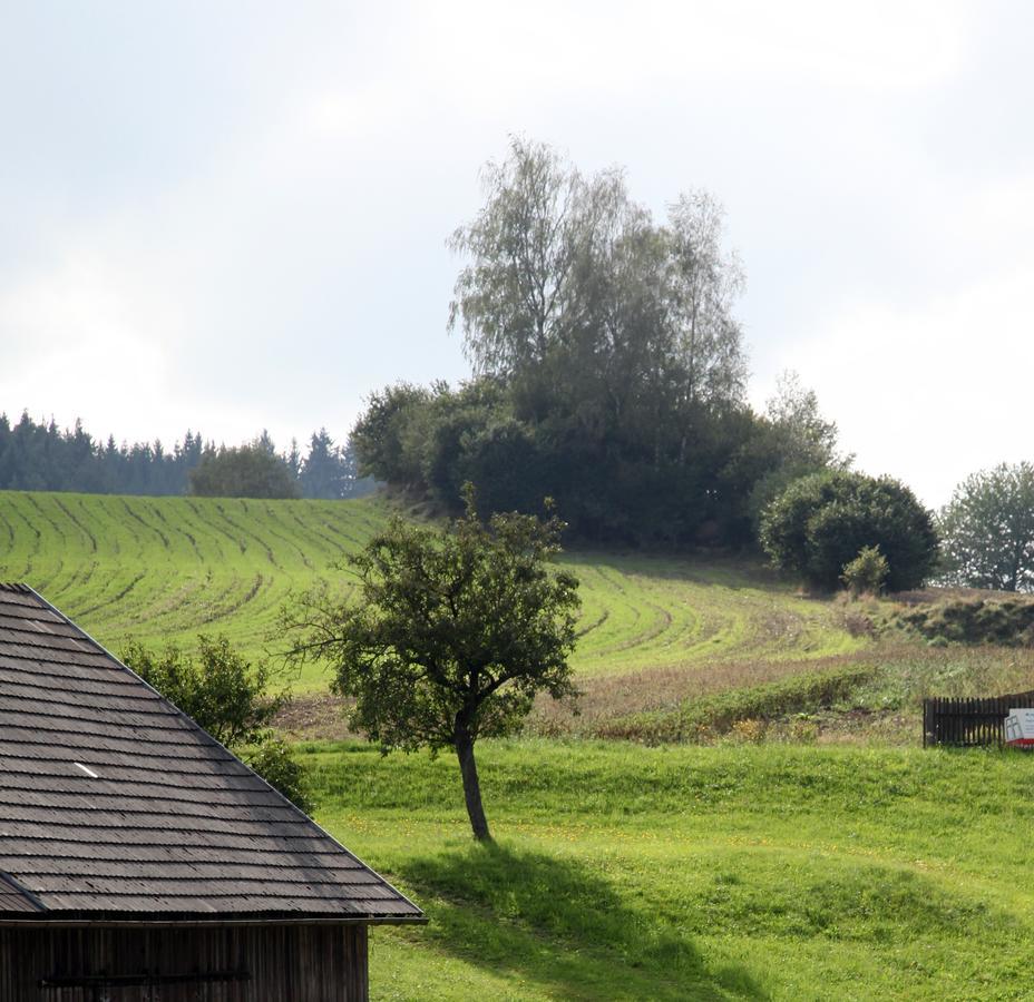 Ferienhof Stanzl Rappottenstein Bagian luar foto