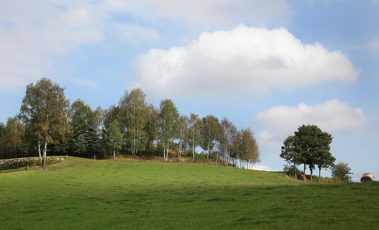 Ferienhof Stanzl Rappottenstein Bagian luar foto