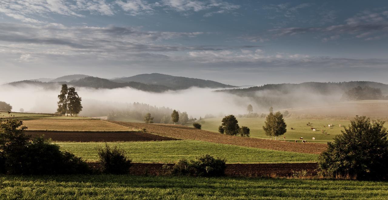 Ferienhof Stanzl Rappottenstein Bagian luar foto